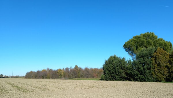 Vista dai campi del bosco dell'Azienda CandiaBio