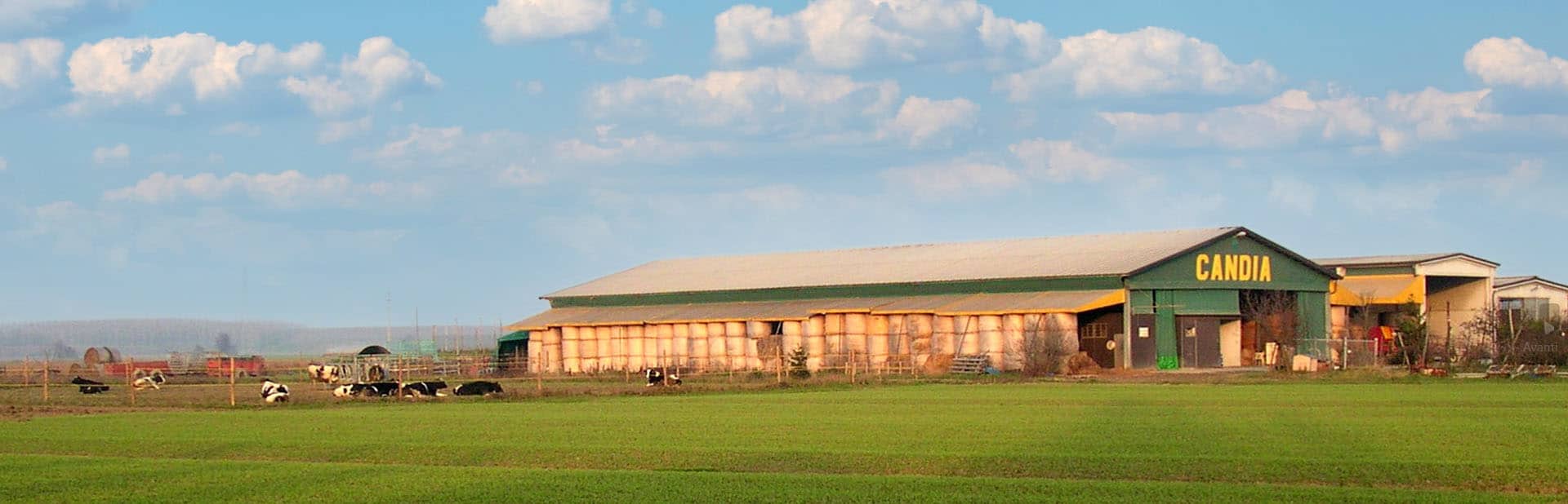 Vista dai campi dell'Azienda Agricola Candiabio