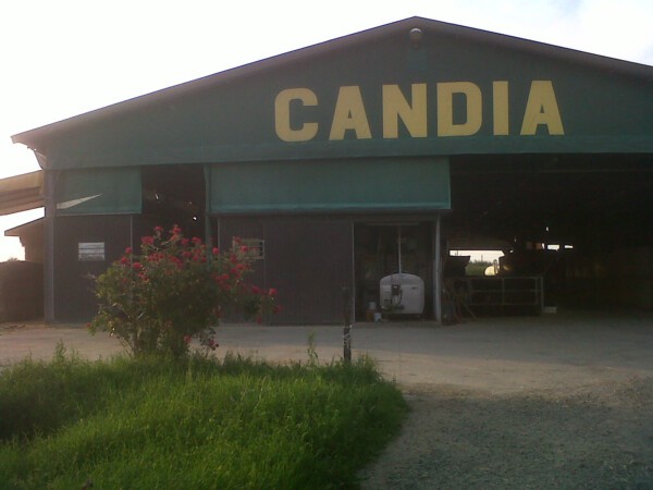 Foto dell'Azienda Agricola Candiabio